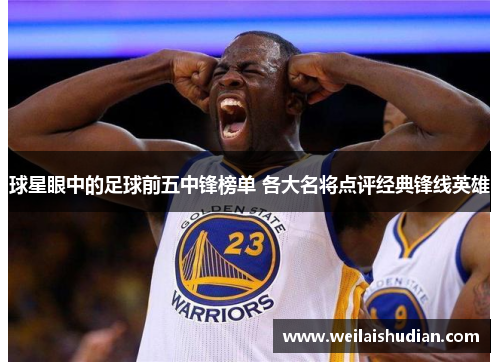 球星眼中的足球前五中锋榜单 各大名将点评经典锋线英雄