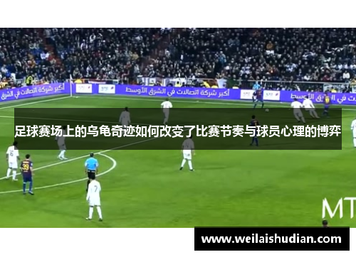足球赛场上的乌龟奇迹如何改变了比赛节奏与球员心理的博弈