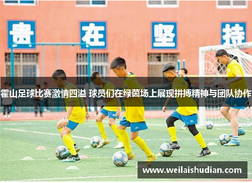 霍山足球比赛激情四溢 球员们在绿茵场上展现拼搏精神与团队协作